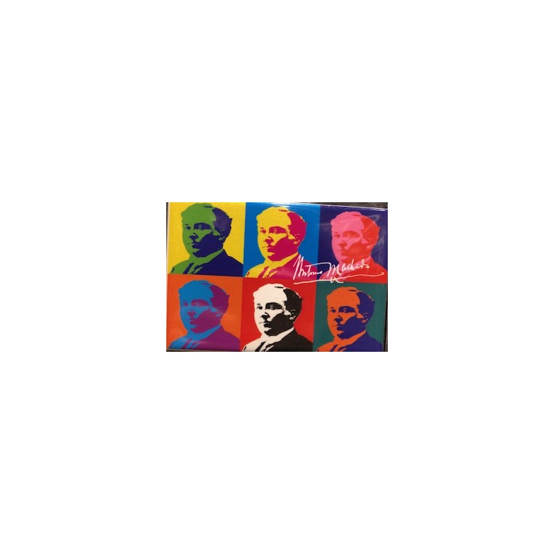 IMAN FLEXIBLE 9 X 6.5 CM MACHADO EFECTO WARHOL