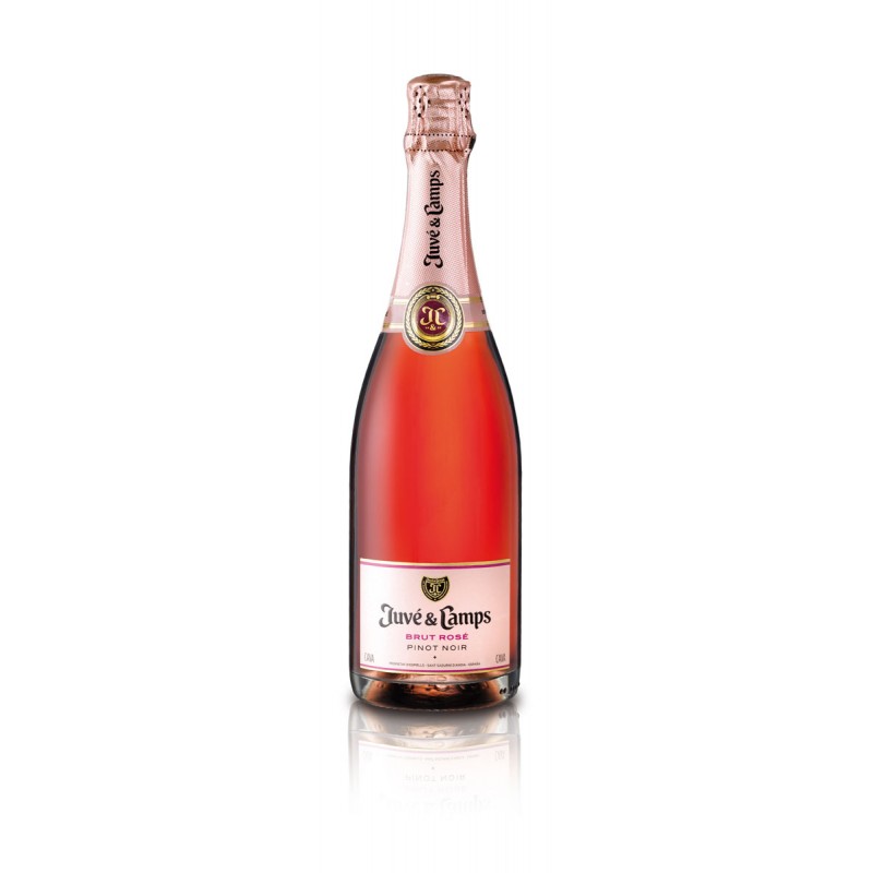 Brut Rosé Juvé & Camps Brut Rosé Juvé & Camps