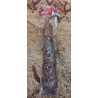 Chorizo cular natural ARCHE 700 gr aprox