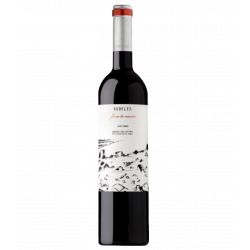 Vino Rudeles Finca la Nación