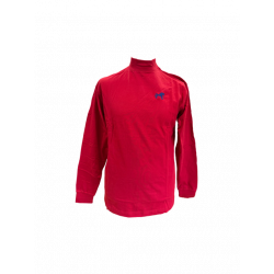 CAMISETA RAWLINGS MANGA LARGA