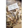 Bolsa de Boletus silvestres